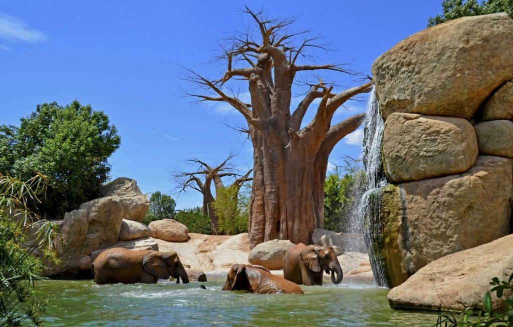 Bioparc Metro Valencia Leilighet Eksteriør bilde