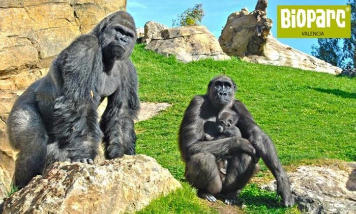 Bioparc Metro Valencia Leilighet Eksteriør bilde